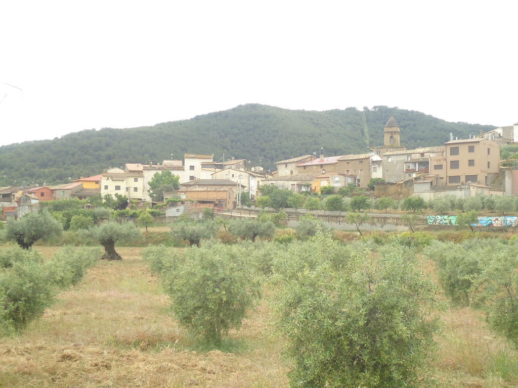 Casa Felisa Pirineo Aragones Βίλα Santa Eulalia de Gállego Δωμάτιο φωτογραφία