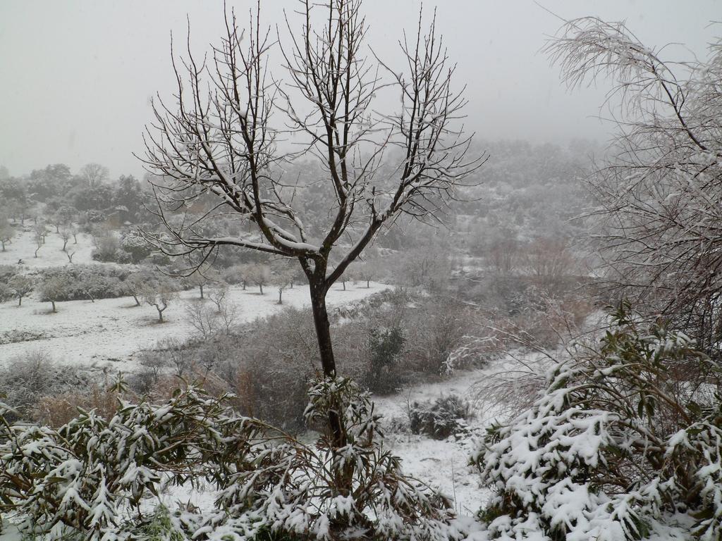 Casa Felisa Pirineo Aragones Βίλα Santa Eulalia de Gállego Εξωτερικό φωτογραφία